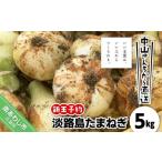 ショッピングふるさと納税 玉ねぎ ふるさと納税 野菜類 玉ねぎ 兵庫県 南あわじ市 ＼新玉予約／中山さんちから直送　淡路島たまねぎ５kg R8.3月下旬〜発送