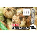 ショッピングふるさと納税 玉ねぎ ふるさと納税 野菜類 玉ねぎ 兵庫県 南あわじ市 ＼新玉予約／中山さんちから直送　淡路島たまねぎ10kg R8.3月下旬〜発送