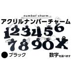 ゴルフグッズ アクリルナンバーチャーム