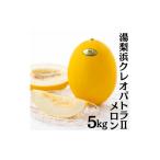 ふるさと納税 メロン 鳥取県 湯梨浜町 19MS. 2026年先行受付 湯梨浜クレオパトラIIメロン5kg