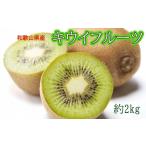 果物類 産キウイフルーツ約2kg サイズ混合