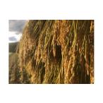 ふるさと納税 米 コシヒカリ 長野県 筑北村 天日干し　特別栽培米　玄米１０kg ｜米 天日干し コシヒカリ 信州 人気 おすすめ お米 玄米 ご飯 和食 健康 送料…