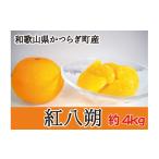 濃厚 はるみ みかん 2L