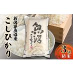 ふるさと納税 米 コシ�