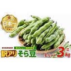 豆類 新鮮旬野菜 訳アリ ご そら豆Lサイズ 約3kg