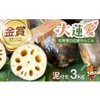 人参 大根 他根菜 2026年11月~発送