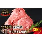 牛肉 訳あり 宮崎牛 切り落とし焼肉 合計300g