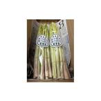 fu.... налог овощи вид спаржа префектура Аичи Toyokawa город 2026 год 4 месяц ~ последовательный отправка предположительно свежий утро .. спаржа 1kg 1667758