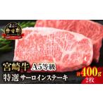 宮崎牛特選サーロインステーキ 合計400g
