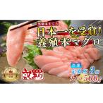 マグロ 訳あり 不定貫 定期便 3回 養殖本マグロ