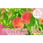 ふるさと納税 もも 福�