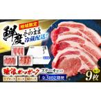 豚肉 ステーキ 3回定期便 冷蔵配送 地域 豚
