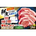豚肉 ステーキ 6回定期便 冷蔵配送 地域 豚