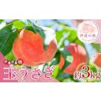 ふるさと納税 もも 福�