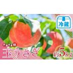 ふるさと納税 もも 福�