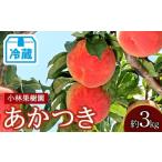 ふるさと納税 もも 福�