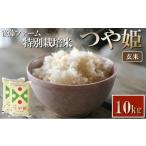 ふるさと納税 玄米 山形県 酒田市 令和7年産 玄米 特別栽培米 つや姫　10kg (5kg×2袋) GF SC0657