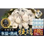 ふるさと納税 牡蠣 生牡蠣 宮城県 石巻市 宮城県産 かき 氷温熟成 牡蠣 生食用（冷凍）170g × 6袋 約 1kg 生食 牡蠣むき身 小分け むき身 むき牡蠣 カキ オイ…