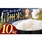 ふるさと納税 米 コシヒカリ 長野県 塩尻市 令和7年産 信州米 長野県産 コシヒカリ 白米 10kg | 令和7年産 米 コシヒカリ 白米 精米 コメ お米 おこめ 信州米 …