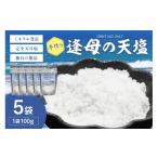 塩 だし 海塩 手作り天然塩 逢母の天塩 100g×5パック