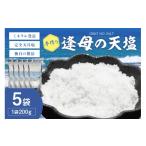 塩 だし 海塩 手作り天然塩 逢母の天塩 200g×5パック