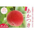 ふるさと納税 もも 福�