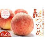 ふるさと納税 もも 福�