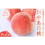 ふるさと納税 もも 福�