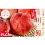 ふるさと納税 もも 福�