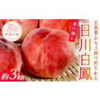 ふるさと納税 もも 福�