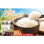 米 全12回定期便 令和8年度産 新米 精米