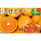 ふるさと納税 果物類 みかん 愛媛県 西予市  せとか 約5kg 家庭用 訳あり 不揃い 25玉前後 お試し 柑橘 みかん ミカン 蜜柑 果物 くだもの フルーツ セトカ オ…
