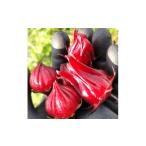 野菜類 ハイビスカスローゼル 約400g