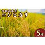 ふるさと納税 米 コシヒカリ 京都府 亀岡市  4月発送 期間限定 生活応援 京都丹波産 こしひかり 精米 5kg JA京都たわわ朝霧 白米 米 お米 こめ コメ ライス ご…