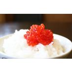 ふるさと納税 魚貝類 北海道 根室市