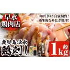 鶏肉 モモ y128 分 10月31日迄に発送