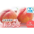 ふるさと納税 もも 福�