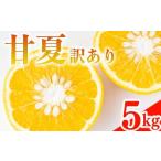 ふるさと納税 果物類 みかん 愛媛県 愛南町 訳あり 甘夏 5kg みかん 蜜柑 果物 柑橘 フルーツ 傷 不揃い 高級 糖度 甘い ゼリー ジュース 農園 直送 エニシト…