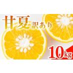 ふるさと納税 果物類 みかん 愛媛県 愛南町 訳あり 甘夏 10kg みかん 蜜柑 果物 柑橘 フルーツ 傷 不揃い 高級 糖度 甘い ゼリー ジュース 農園 直送 エニシト…