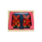 ふるさと納税 いちご 大分県 日出町 野上農園の土耕栽培ベリーツ 計600g 1710545