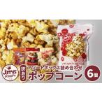 ふるさと納税 菓子 スナック 京都府 舞