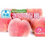 ふるさと納税 もも 福�