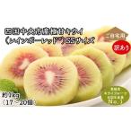 ふるさと納税 果物類 愛媛県 四国中央市  ぽぽ農園 訳あり・ご自宅用 レインボーレッドキウイ（四国中央市産レインボーレッド） SS サイズ 約1kg（17個〜20個…