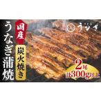 うなぎ 鰻蒲焼2尾 計300g以上