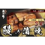 魚貝類 鱧 定期便 3ヶ月 うなぎ 3尾