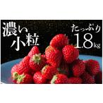 ふるさと納税 いちご 静岡県 南伊豆町  2〜5月発送 いちご 小粒いちご 約1.8kg 紅ほっぺ こだわり いちご 大容量 イチゴ strawberry 苺 新鮮 朝摘み 朝採り 産…
