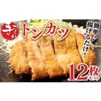 肉 揚げ物 令和8年熊本地震復興支援 手作り