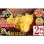 ふるさと納税 野菜類 サツマイモ 鹿児島県 日置市 No.560-C 訳あり・不揃い 鹿児島県日置市産さつまいも 熟成紅はるか(約2kg) 国産 九州産 サツマイモ さつま…