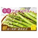 fu.... налог овощи вид спаржа Fukuoka префектура Okawa город утро .. прямая поставка весна . спаржа 1kg (2L-L размер ) Fukuoka префектура производство 2026 год 