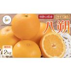 森本農園の手選別 せとか 約2kg